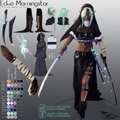 Echo Morningstar Concept Redesign