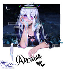 Arcadia Polaroid Arcadia Polaroid